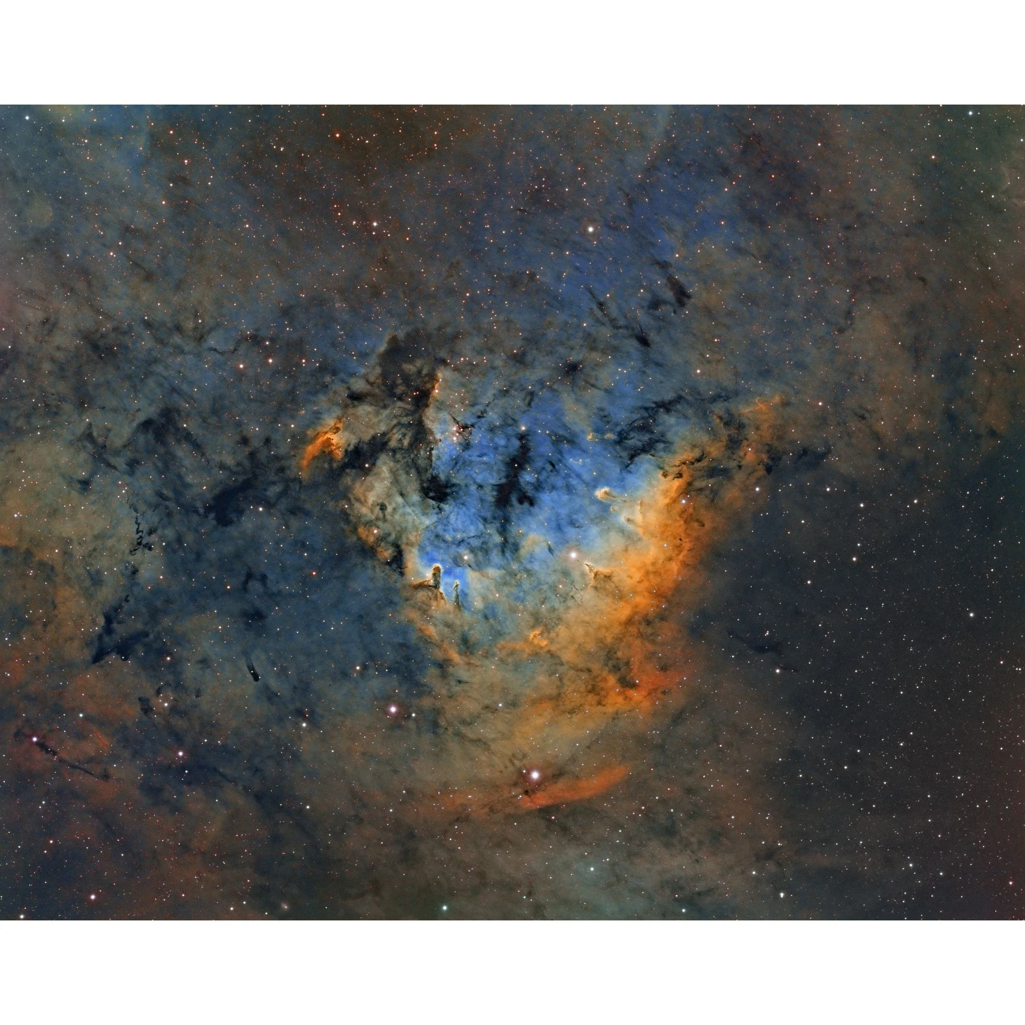 Master the Night Sky